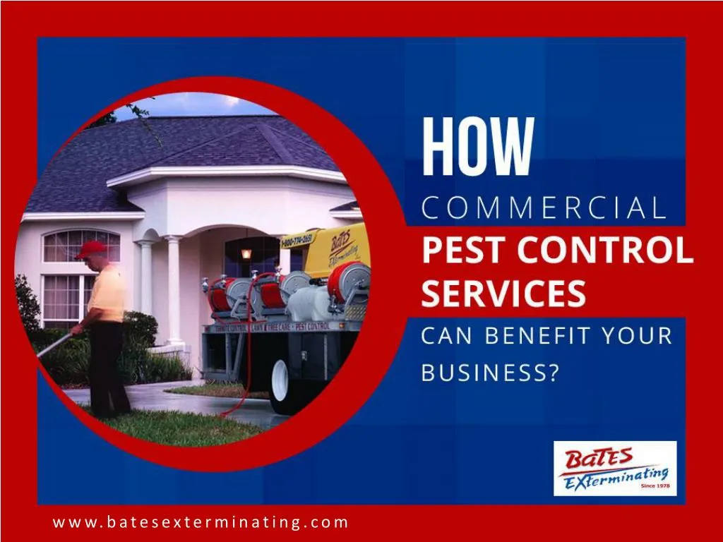 how commercial pest control services can benefit your business n.