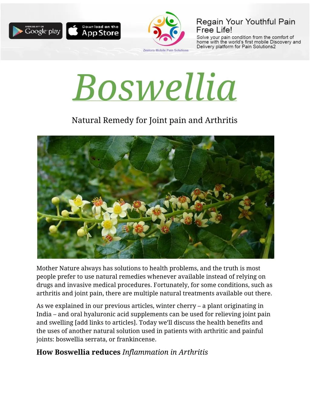 PPT - Boswellia Natural Remedy For Joint Pain And Arthritis PowerPoint ...