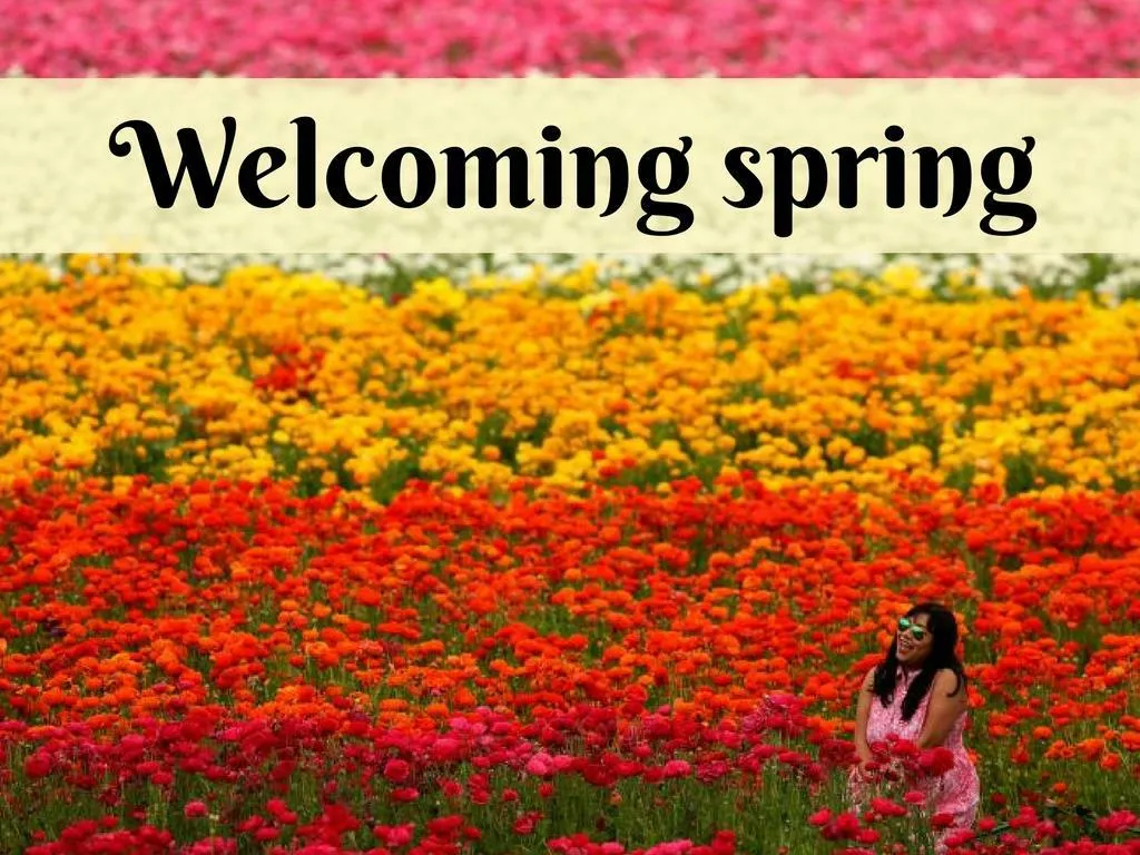 inviting spring n.