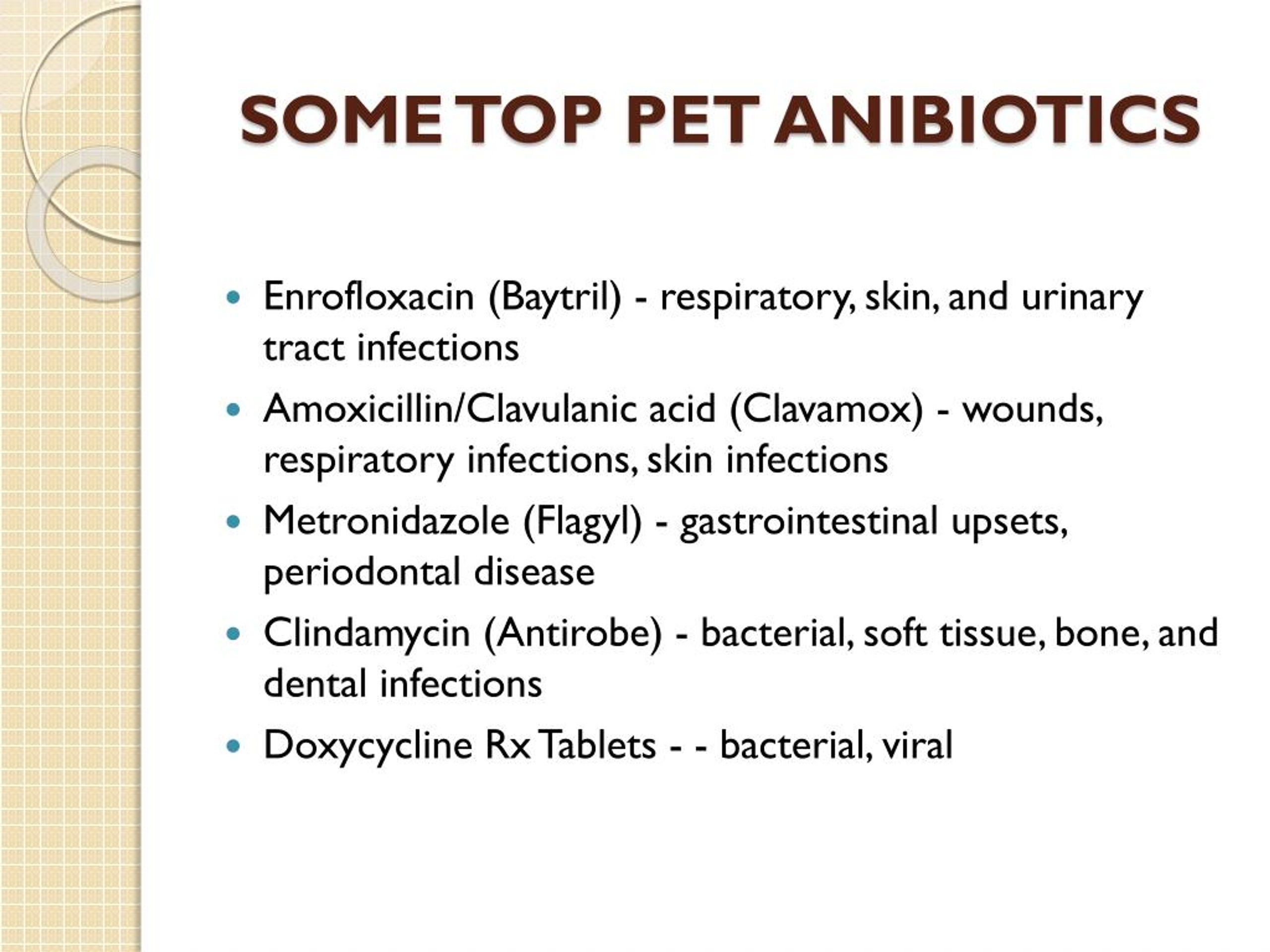 PPT - Buy Pet Antibiotics Online PowerPoint Presentation, free download ...