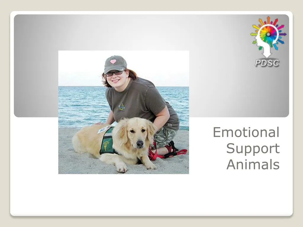 PPT - Emotional Support Animal Sample Letter For Flying PowerPoint  Presentation - ID:7540395