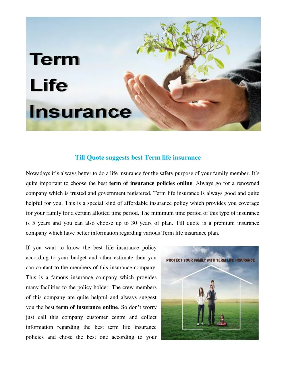 ppt-term-of-insurance-online-powerpoint-presentation-free-download