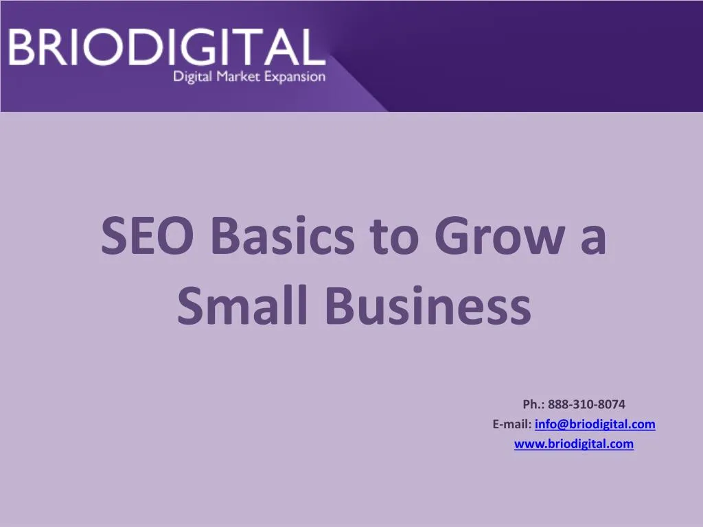 seo basics to grow a small business n.