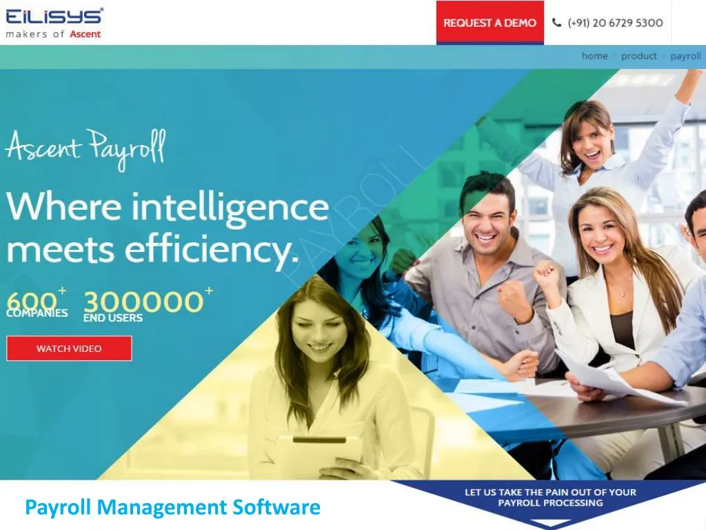 payroll management software n.