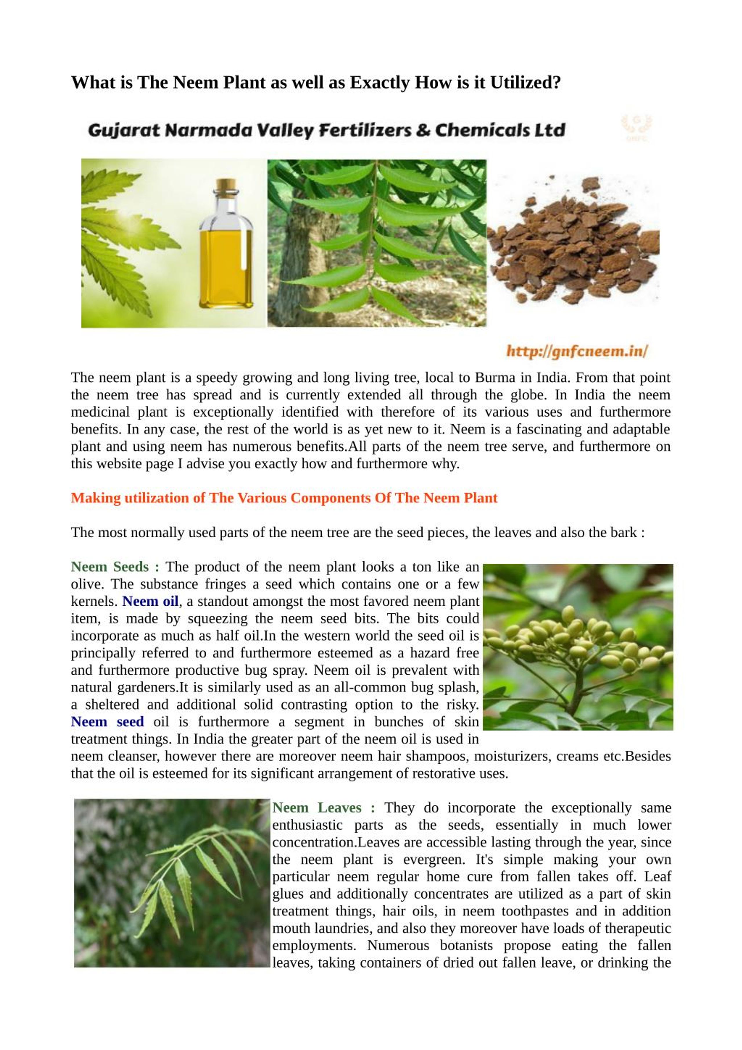 presentation of neem tree