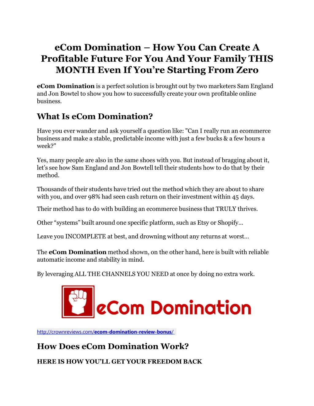 ecom domination how you can create a profitable n.