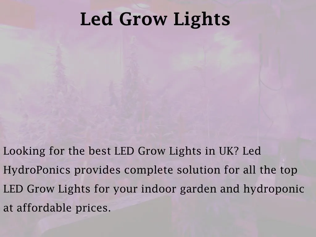 led grow lights n.