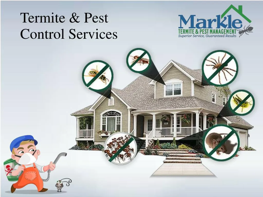PPT Termite & Pest Control Services PowerPoint Presentation, free