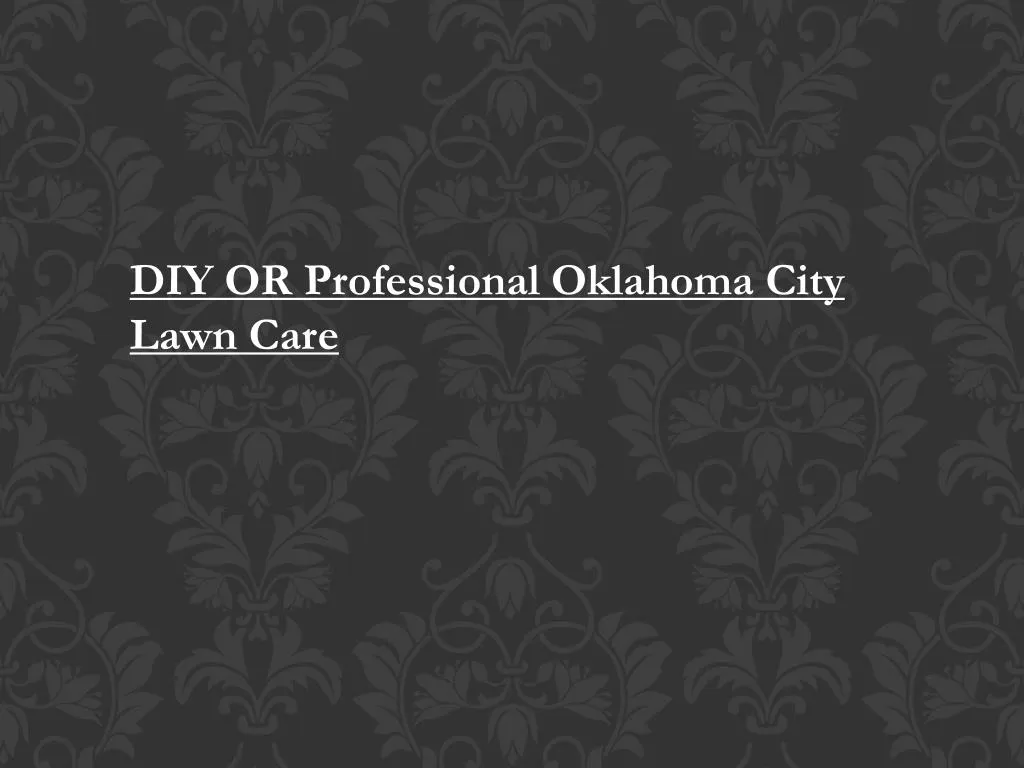 diy or professional oklahoma city lawn care n.