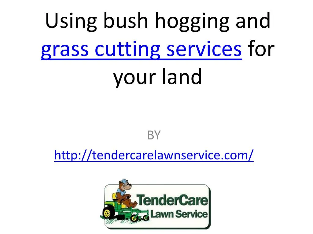 PPT Using bush hogging and grass cutting services for your land