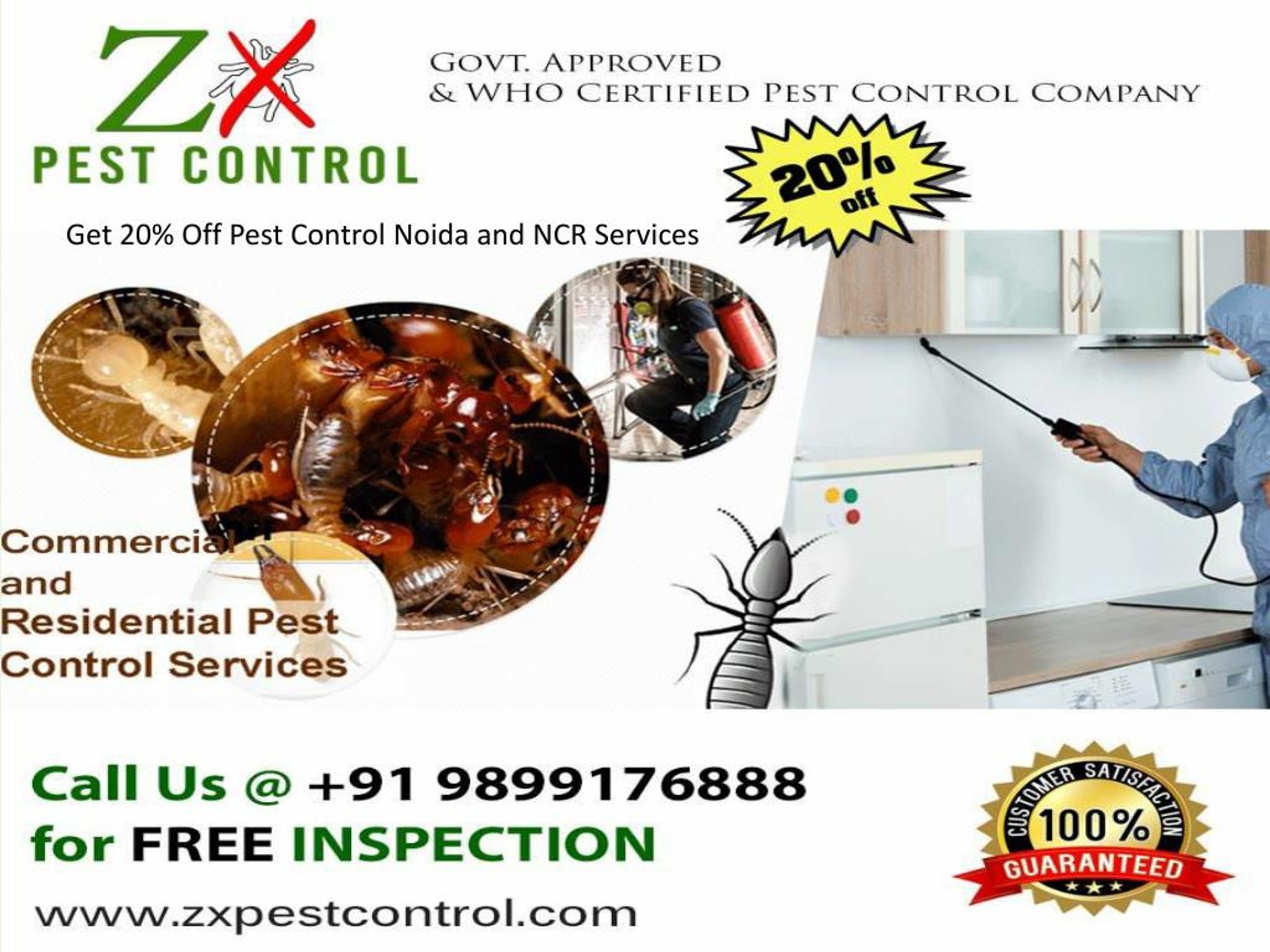 PPT - Get 20% Off Pest Control Noida and NCR Services PowerPoint ...