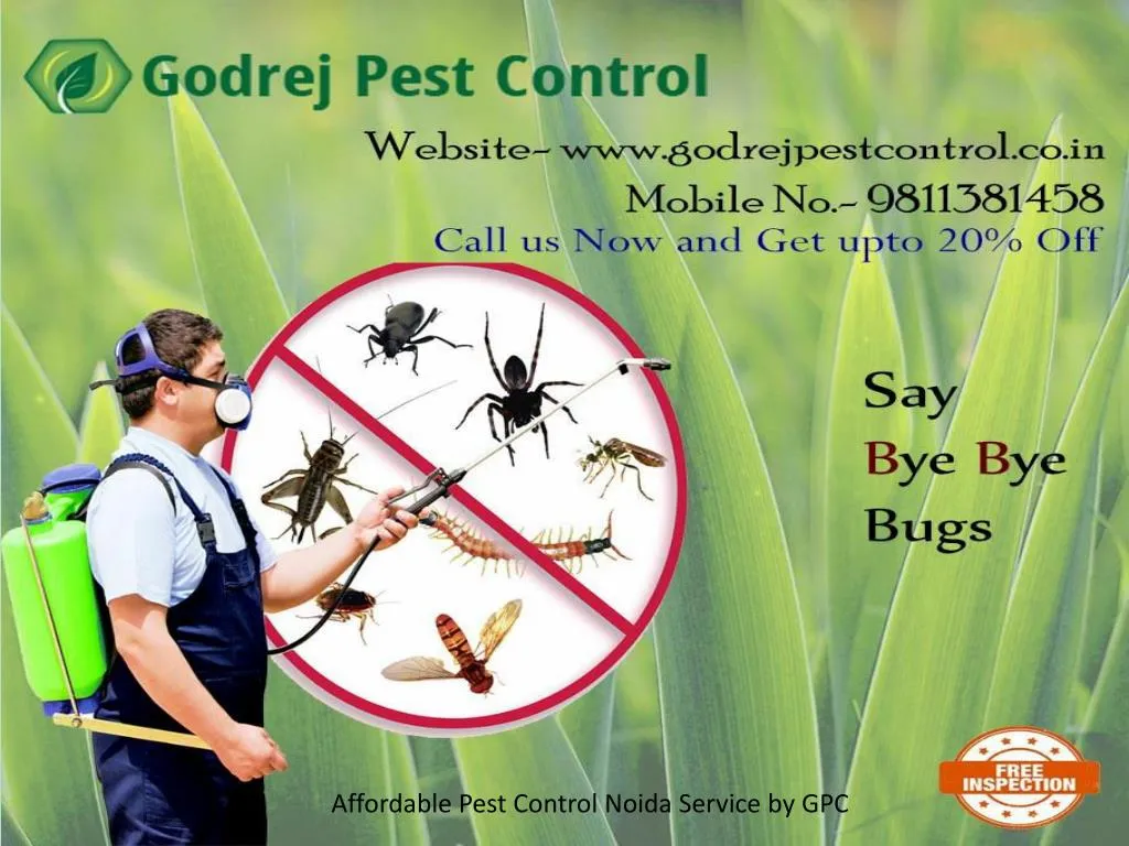 PPT - Affordable Pest Control Noida Service by GPC PowerPoint ...