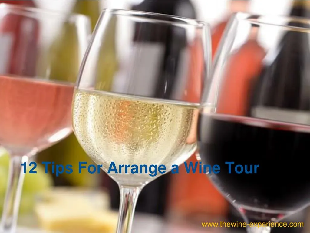 12 tips for arrange a wine tour n.