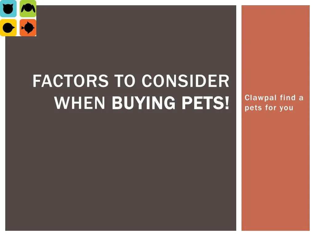 factors to consider when buying pets n.