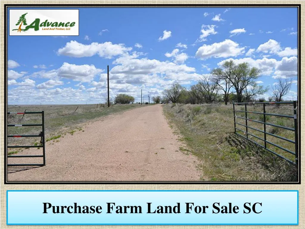 purchase farm land for sale sc n.