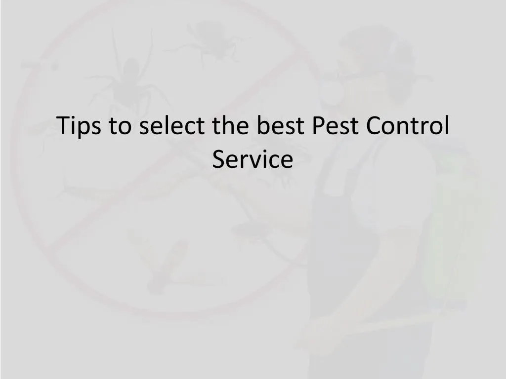 tips to select the best pest control service n.