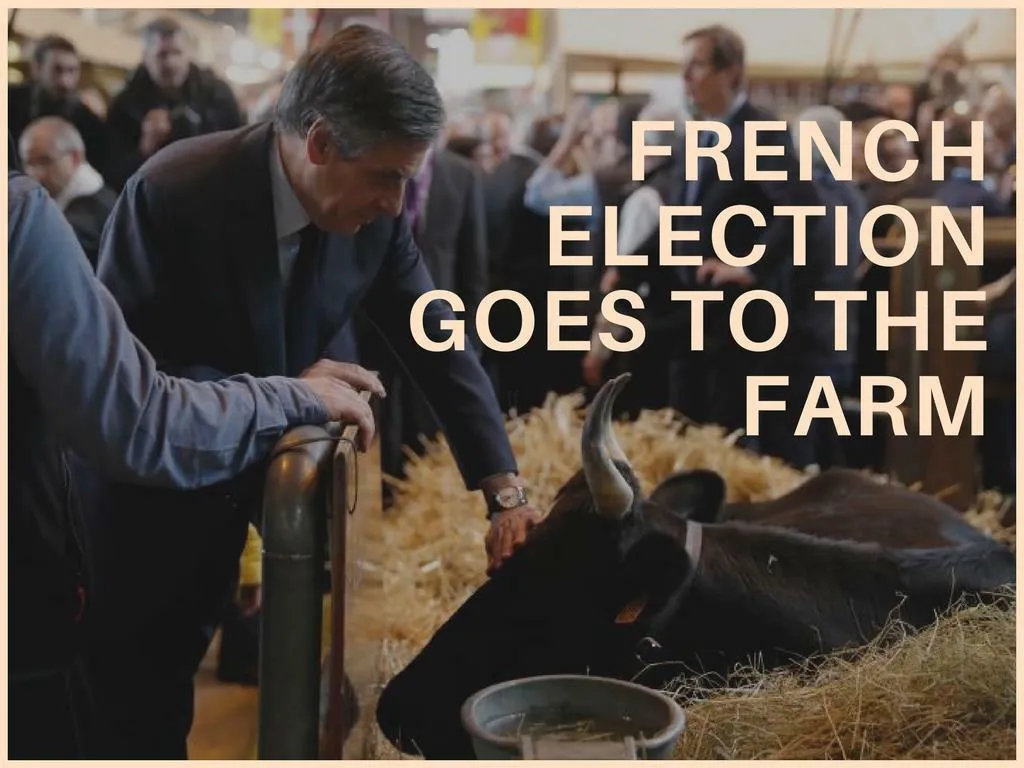 french election goes to the farm n.