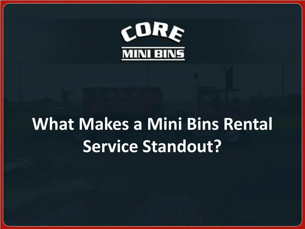 what makes a mini bins rental service standout n.