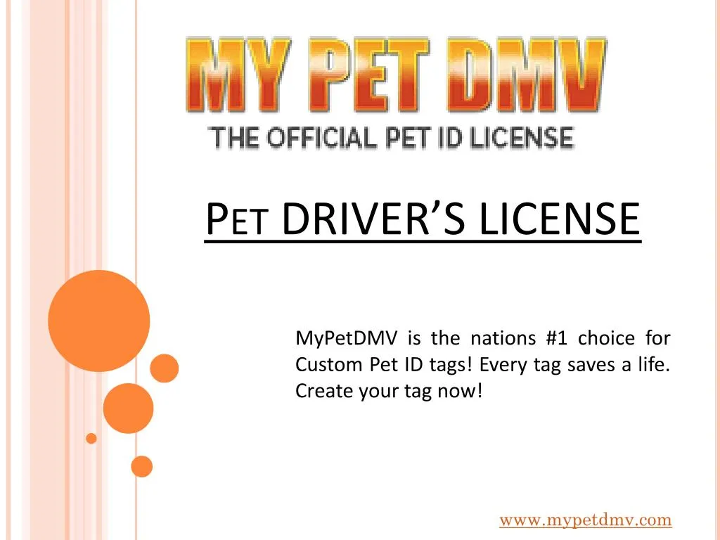 PPT Keep Your Pet Safe With Pet Drivers License My Pet DMV
