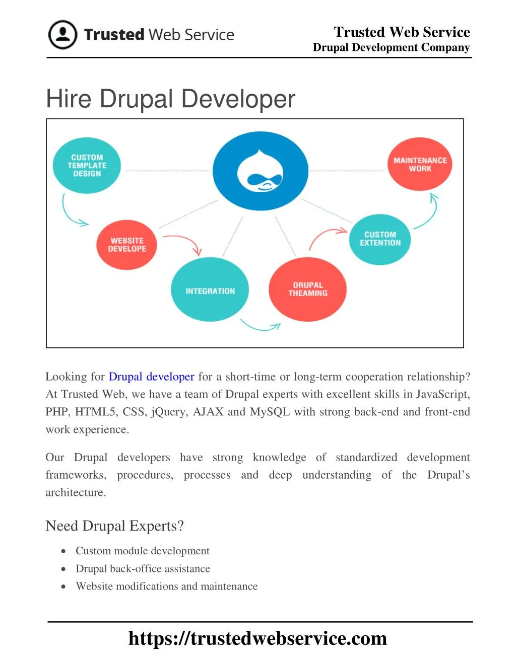 trusted web service drupal development company n.