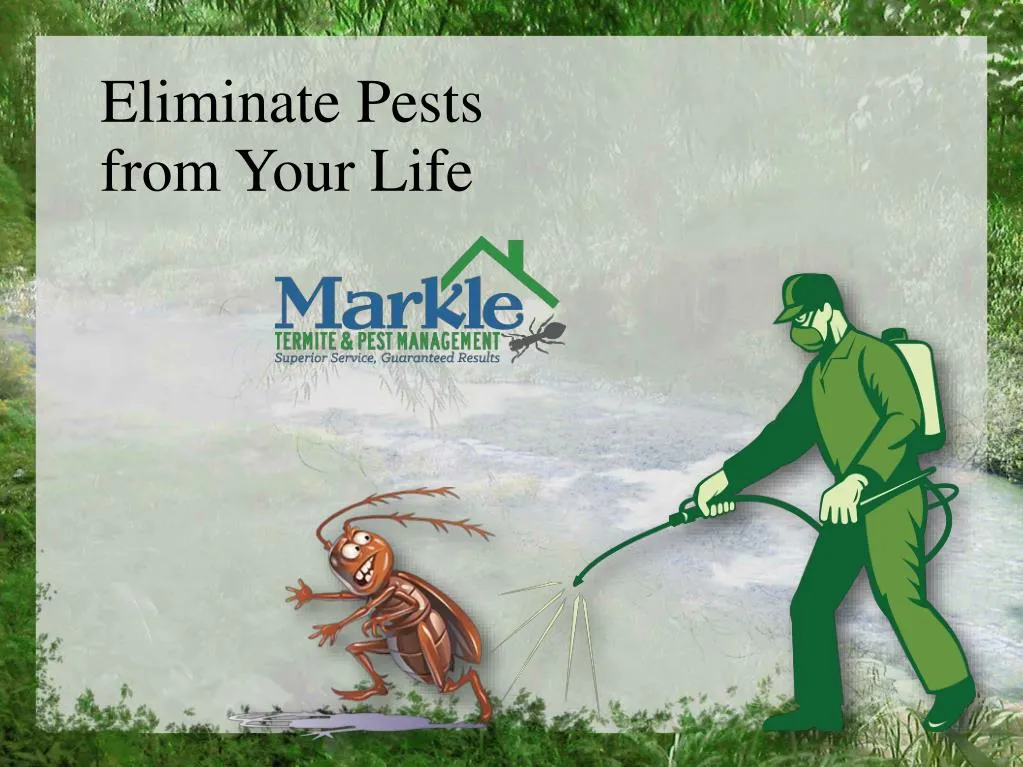 PPT - Eliminate Pests From Your Life PowerPoint Presentation, Free ...