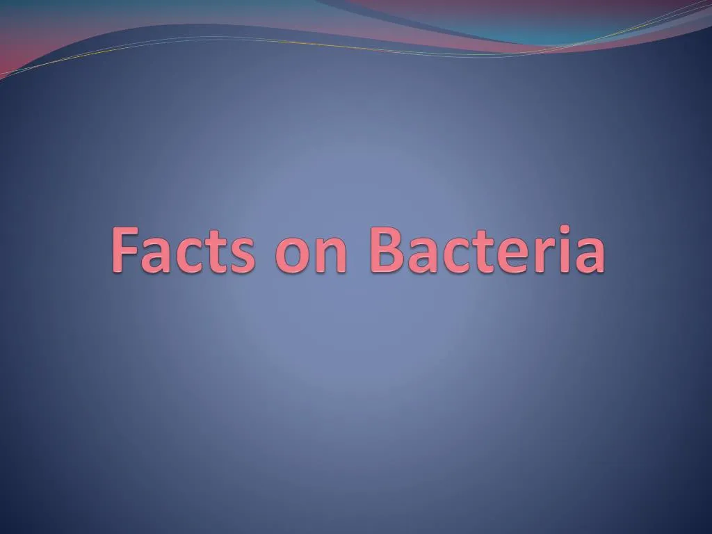 facts on bacteria n.
