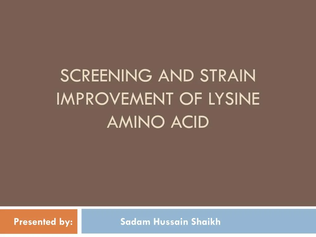 screening and strain improvement of lysine amino acid n.