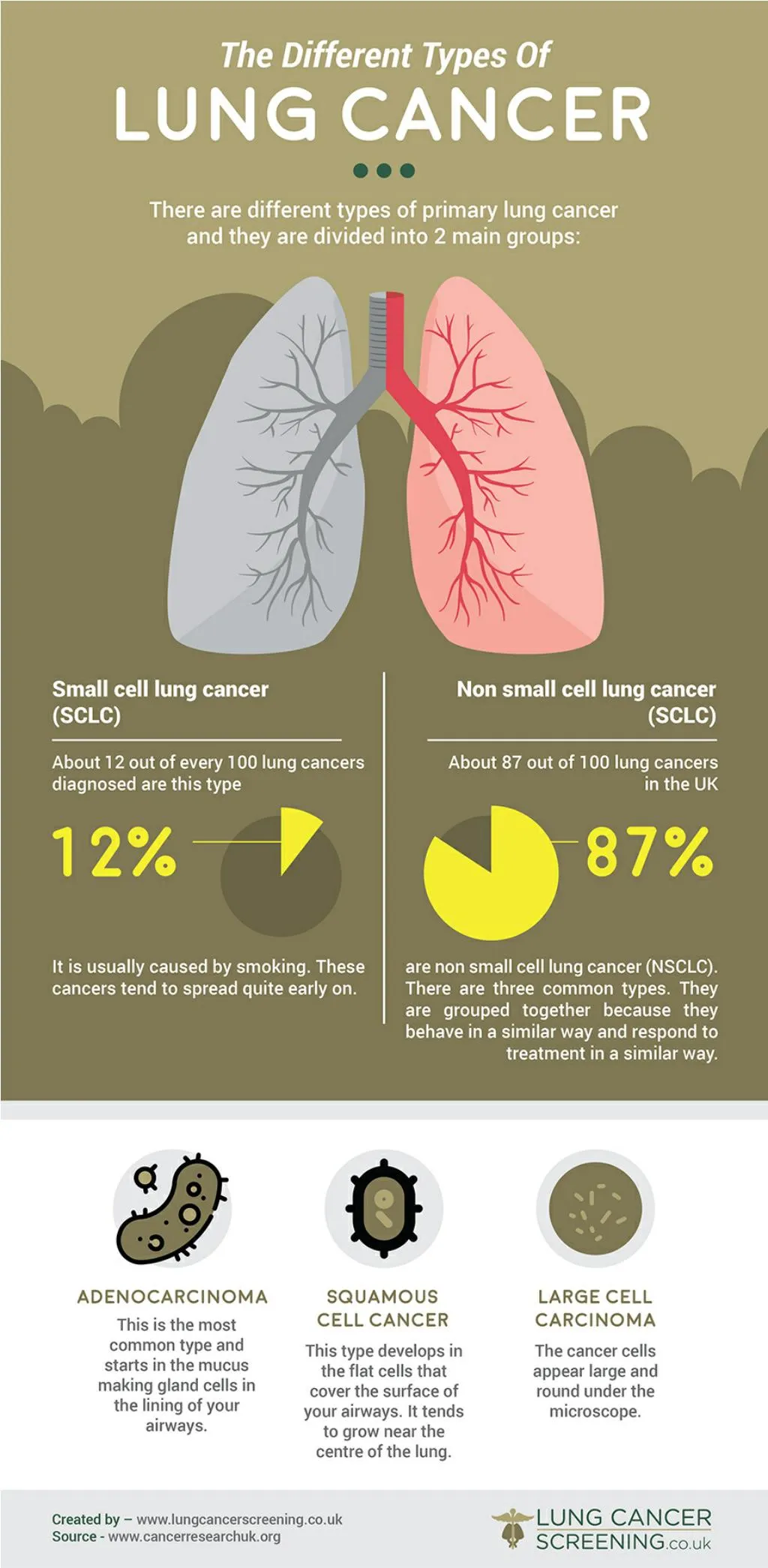 ppt-the-different-types-of-lung-cancer-powerpoint-presentation-free