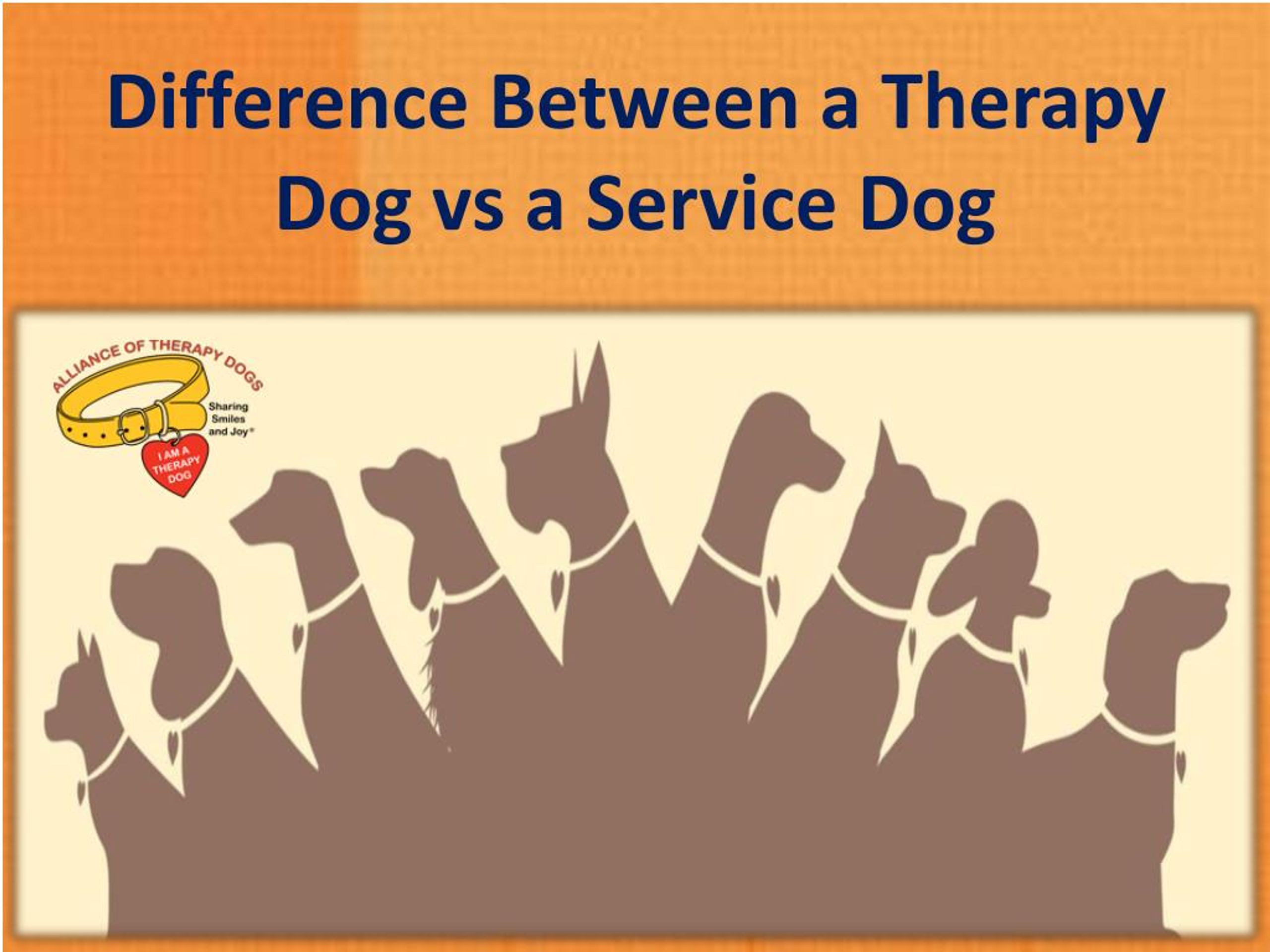 PPT - Difference Between A Therapy Dog Vs A Service Dog PowerPoint ...