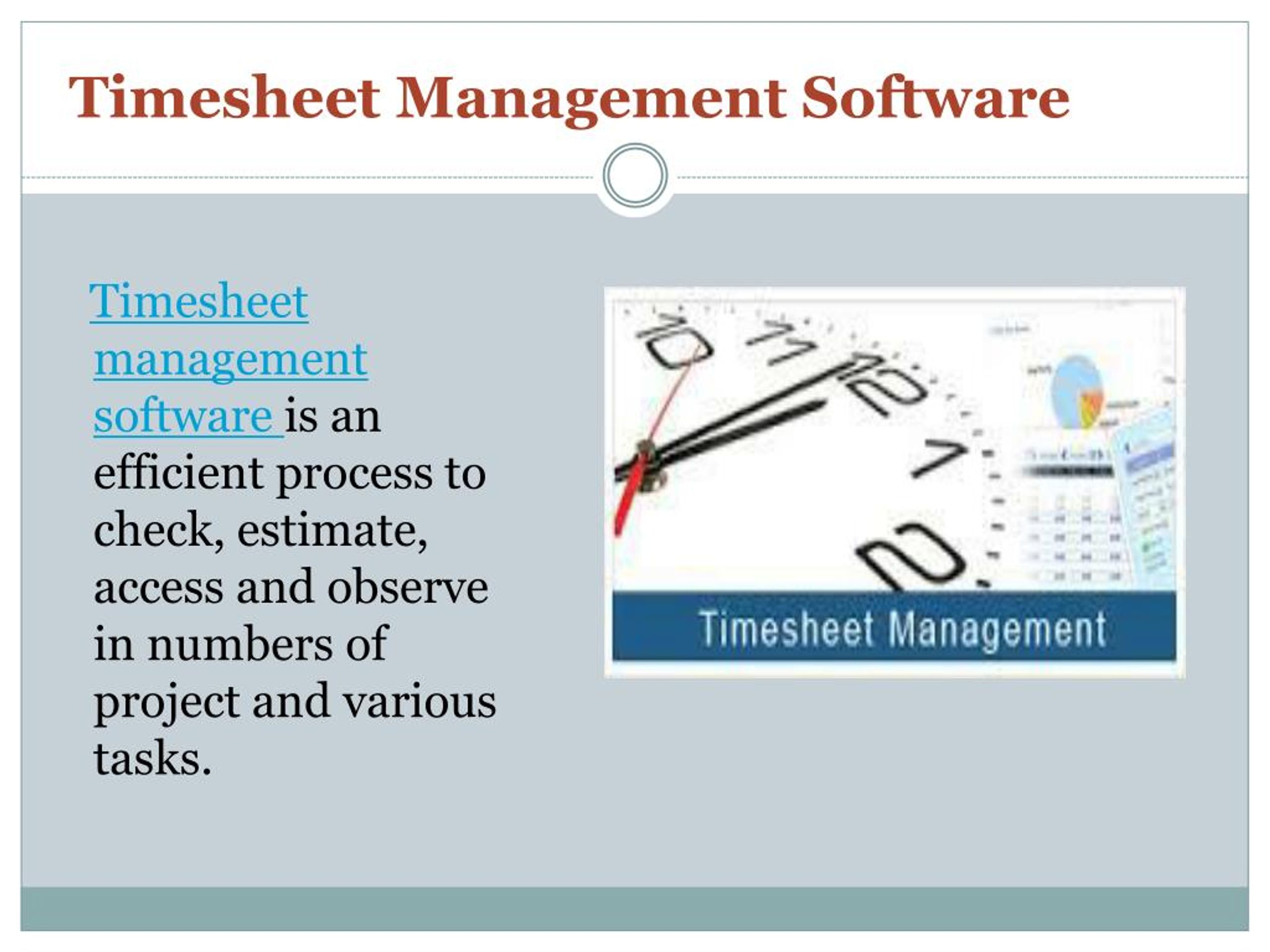 PPT Timesheet Management software PowerPoint Presentation, free