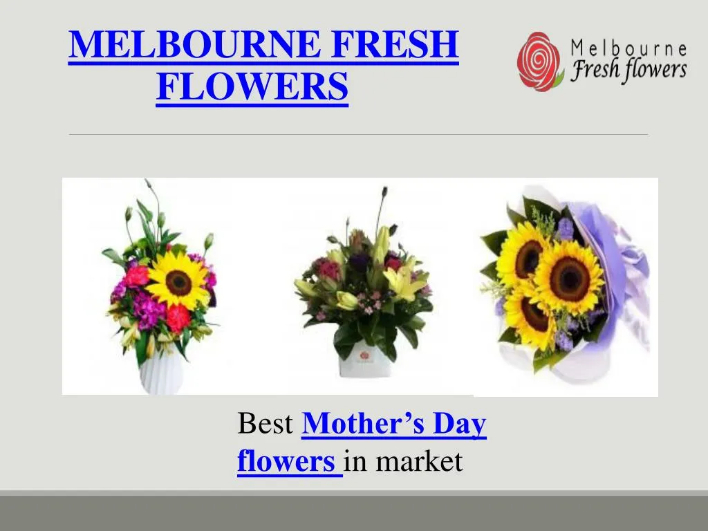 PPT Best Mother’s Day flowers Delivery Melbourne Fresh flowers