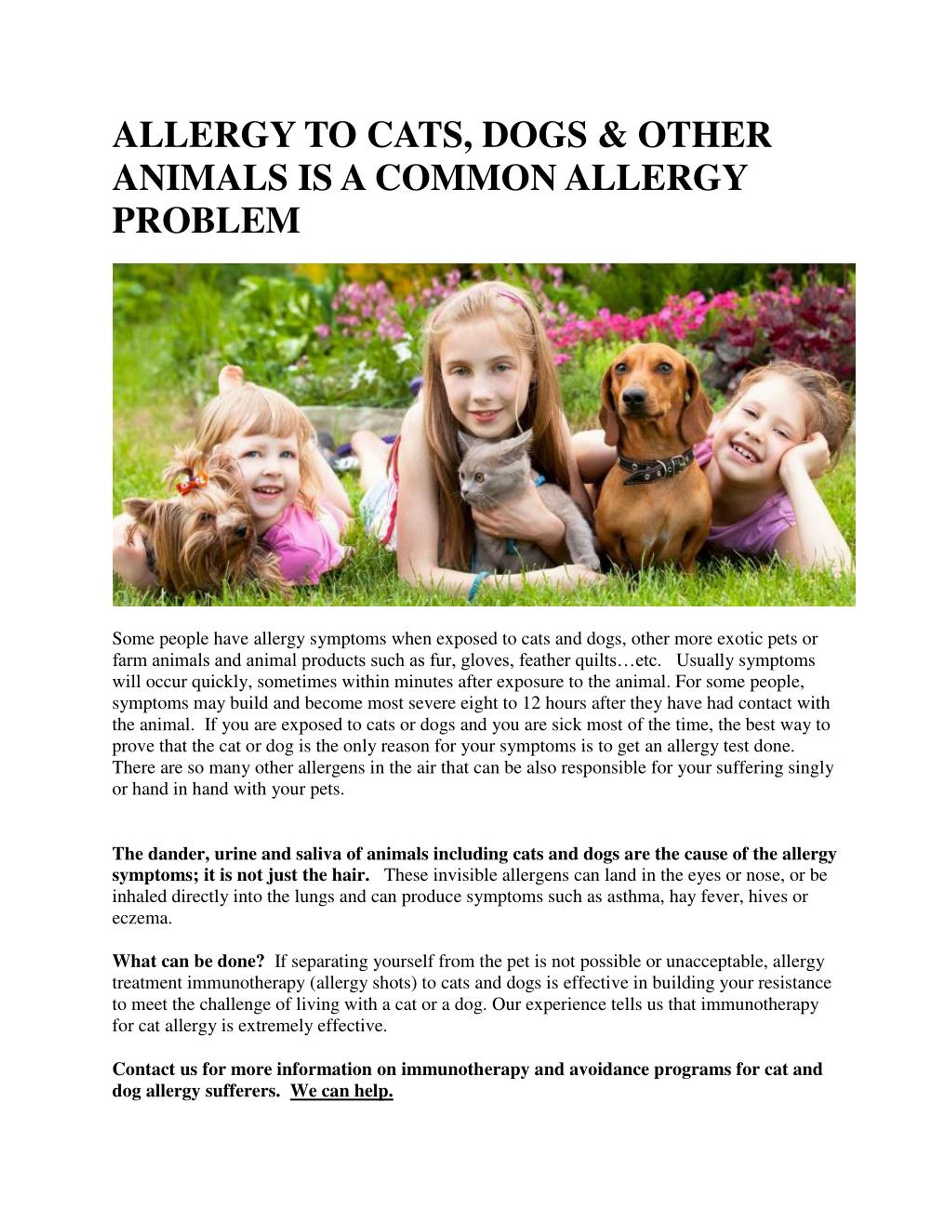 PPT - ALLERGY TO CATS, DOGS & OTHER ANIMALS IS A COMMON ALLERGY PROBLEM ...