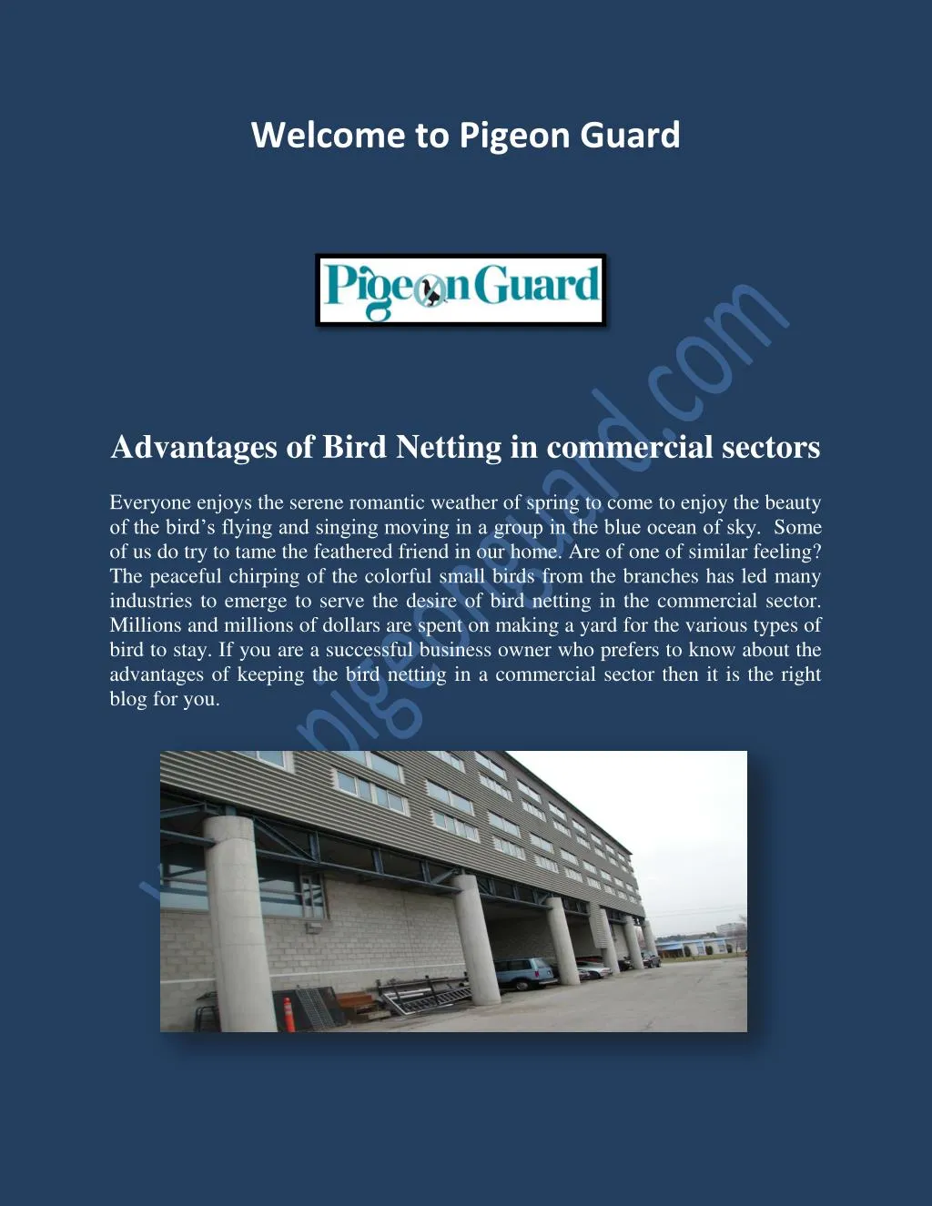 PPT Pigeon Netting, Pigeons Control.pdf PowerPoint Presentation, free