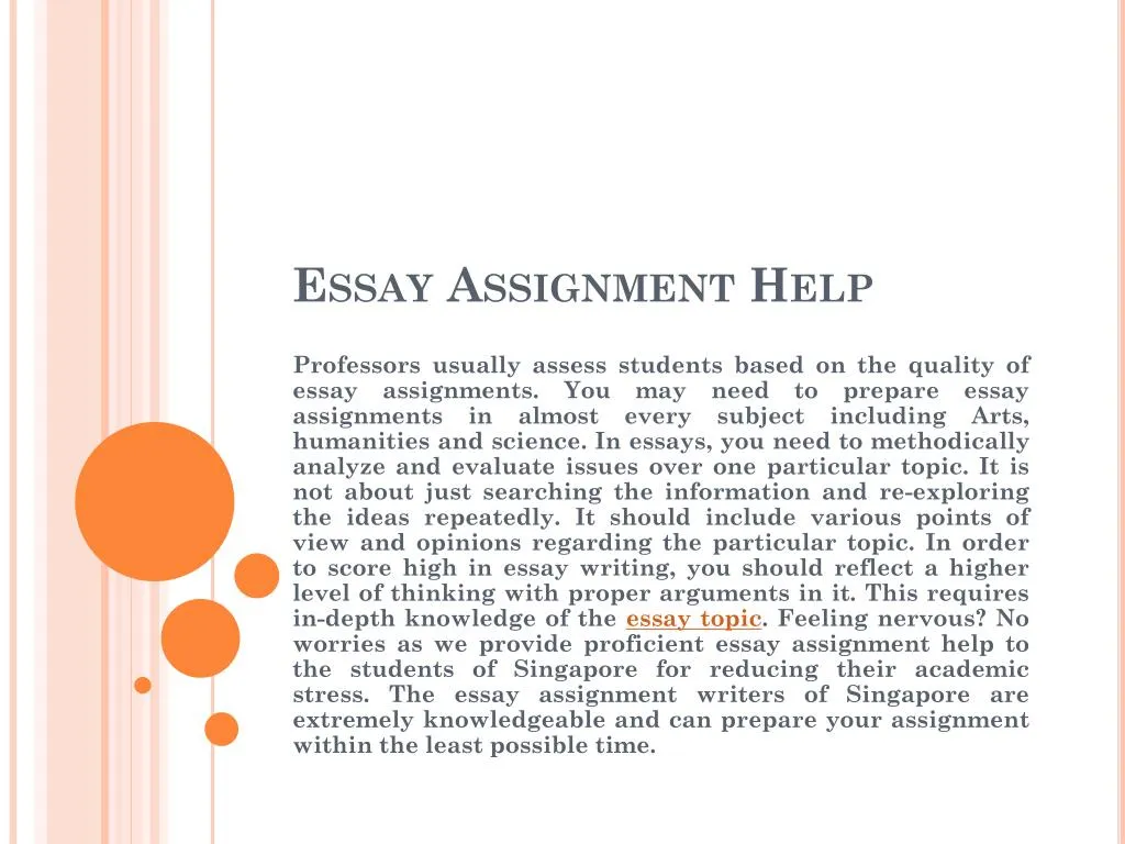 Business essay examples
