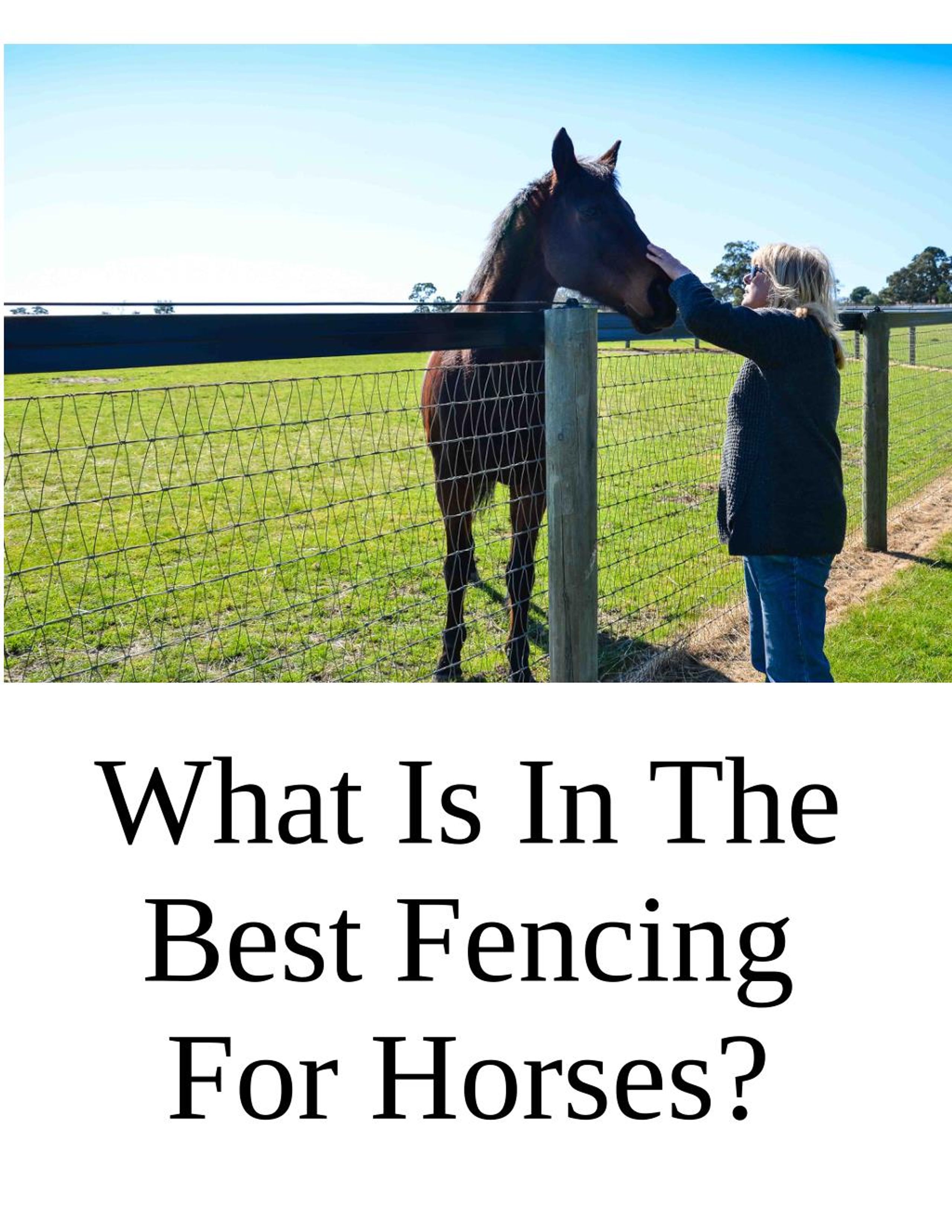 PPT - What Is In The Best Fencing For Horses? PowerPoint Presentation ...