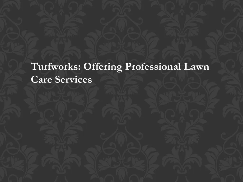turfworks offering professional lawn care services n.