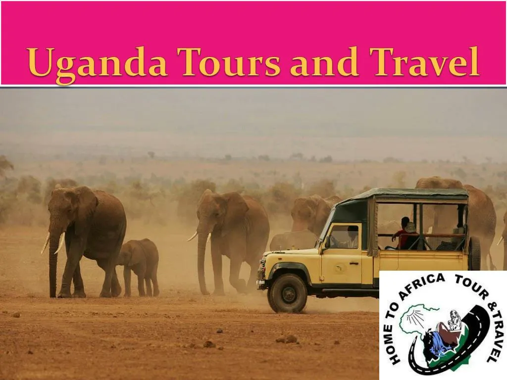 uganda tours and travel n.
