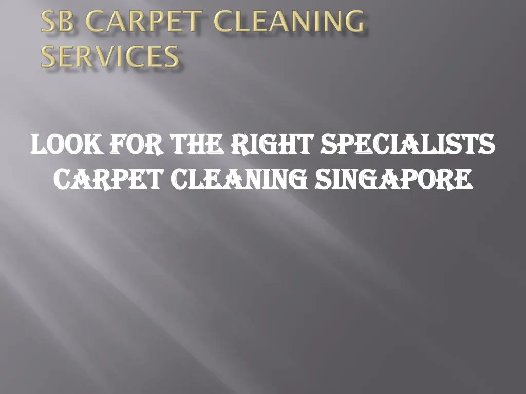 sb carpet cleaning services n.