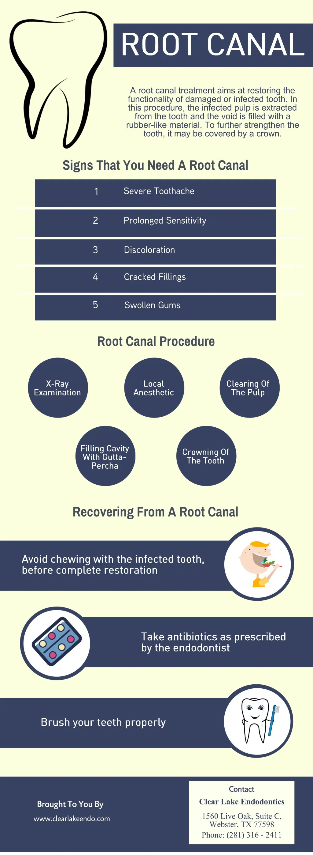 PPT - Root Canal PowerPoint Presentation, free download - ID:7592222