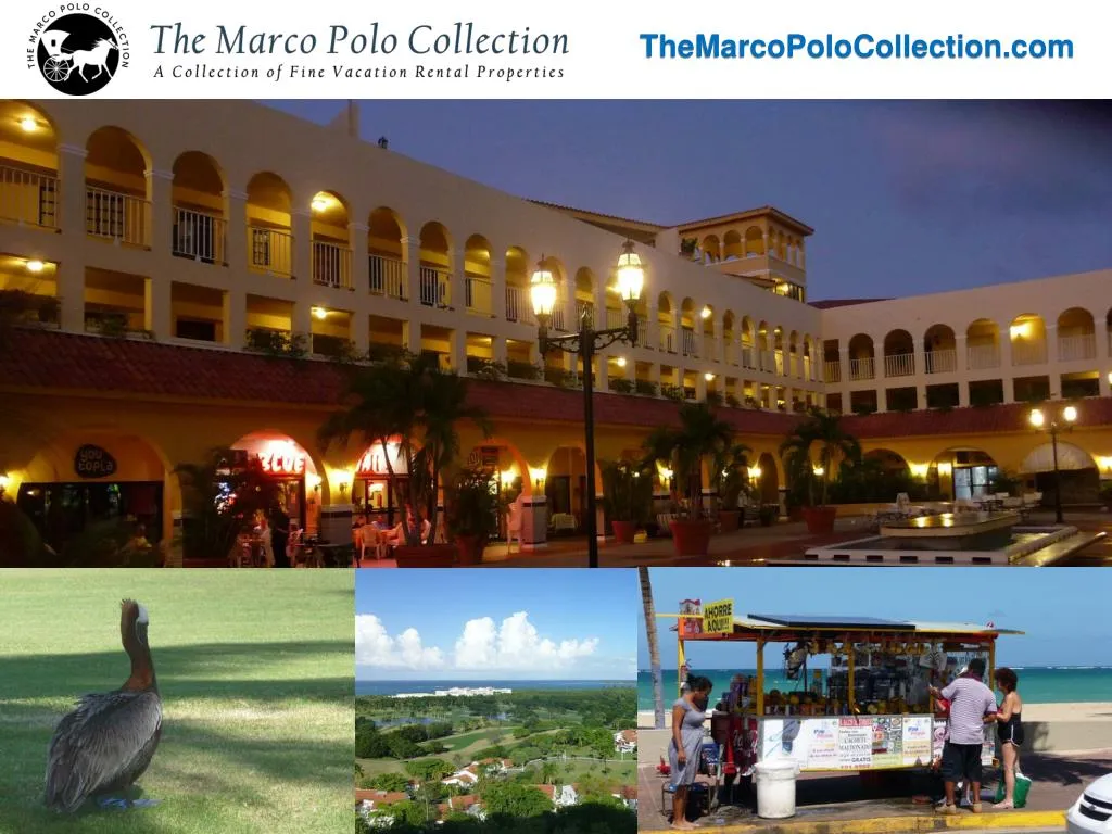 themarcopolocollection com n.