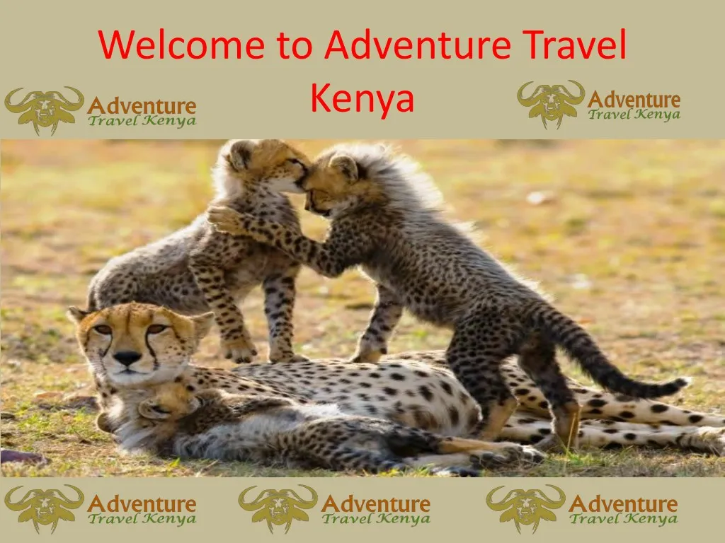 Ppt Kenya Wildlife Safari Packages Powerpoint