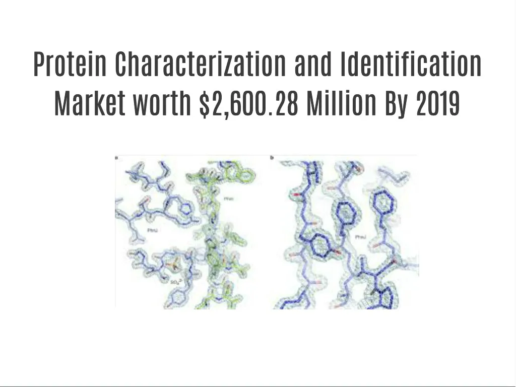 PPT Protein Characterization and Identification Market Forecast to