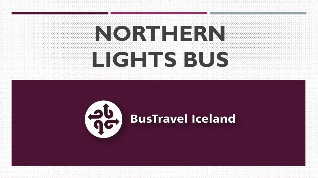 northern lights bus n.