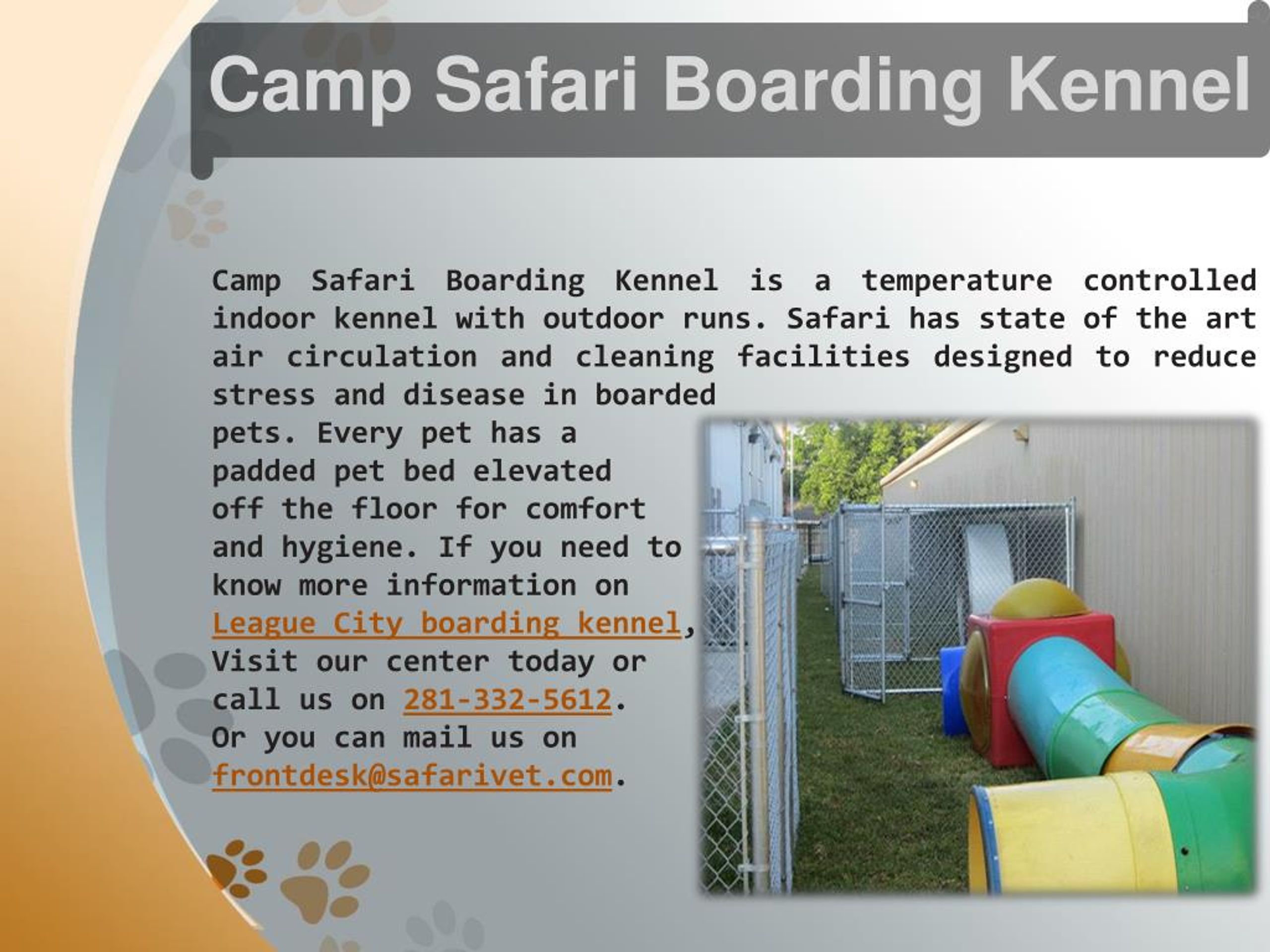 What Are The Benefits Of Dog Enrichment Toys In League City, TX? - Safari  Veterinary Care Centers