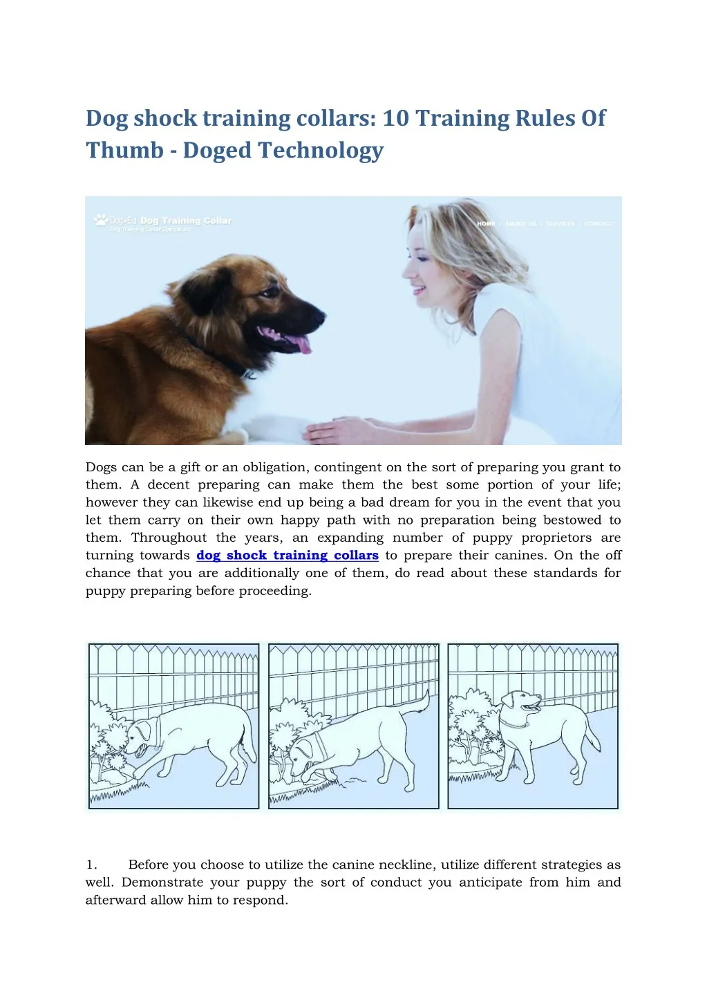 PPT Dog shock training collars 10 Training Rules Of Thumb