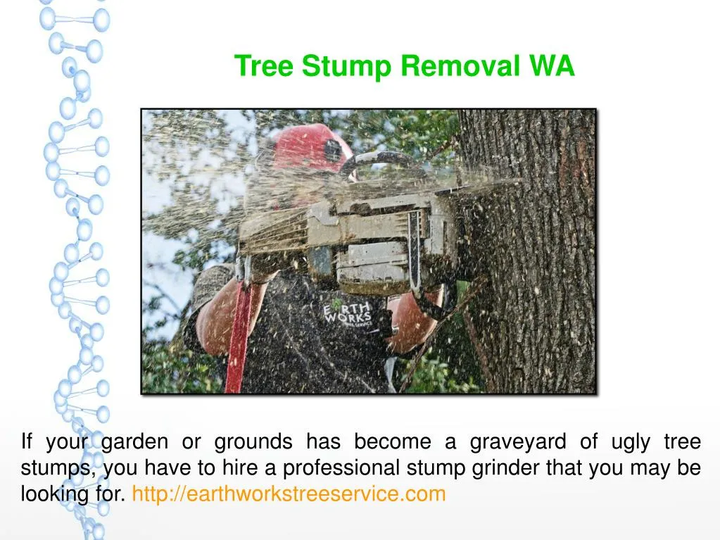 tree stump removal wa n.