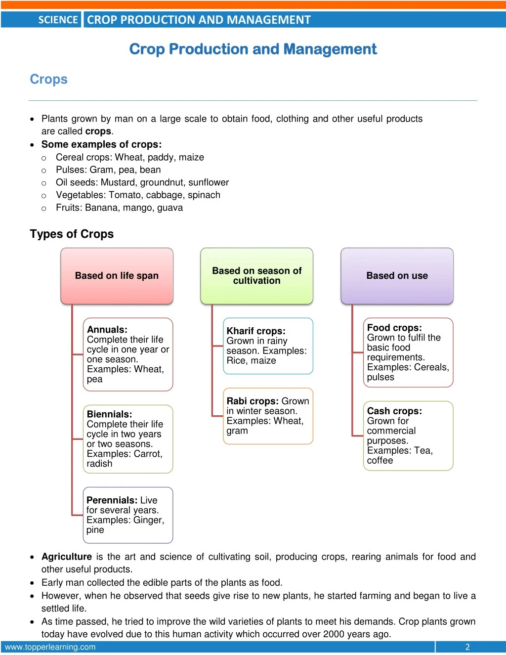 business plan cash crops