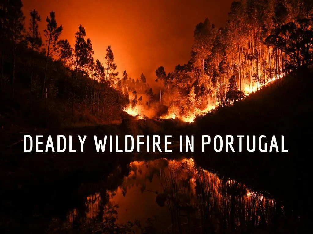 deadly wildfire in portugal n.