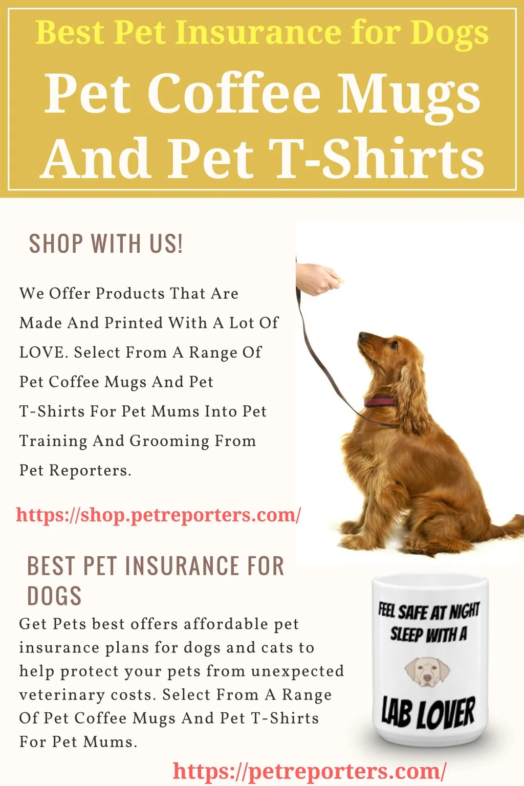 best pet insurance for dogs n.