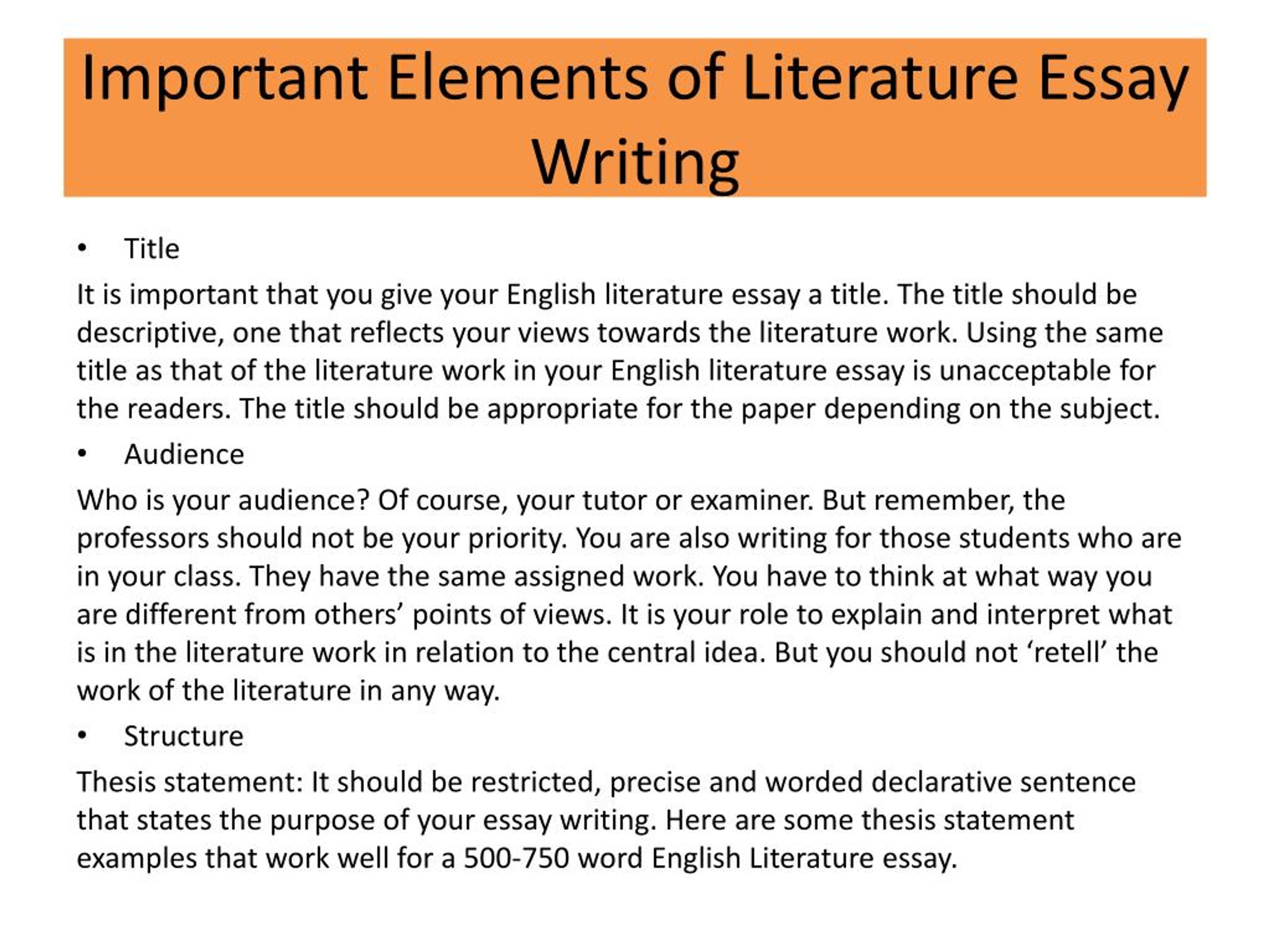 elements of literature essay